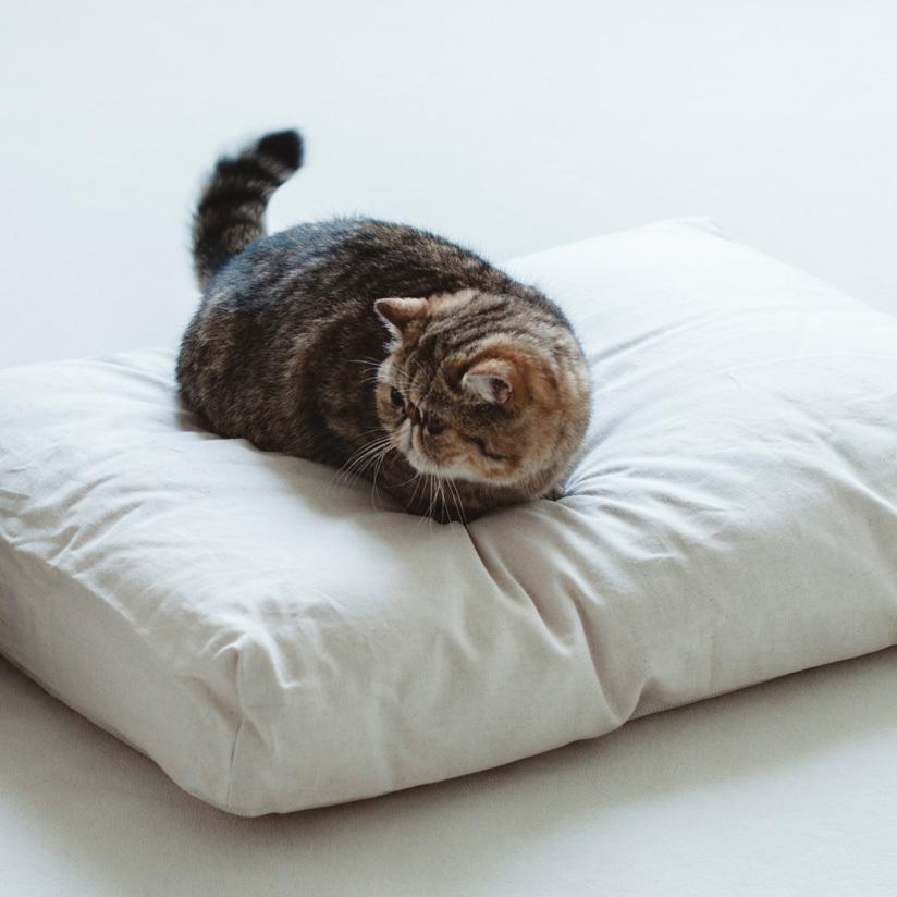 コットンリネンスクエアベッド M ペットベッド 春夏 ペットマット ペットクッション 犬 ドッグ 室内 おしゃれ シンプル 小中型犬 大型犬 洗えるの画像