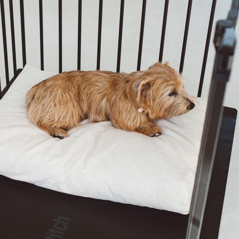 コットンリネンスクエアベッド M ペットベッド 春夏 ペットマット ペットクッション 犬 ドッグ 室内 おしゃれ シンプル 小中型犬 大型犬 洗えるの画像