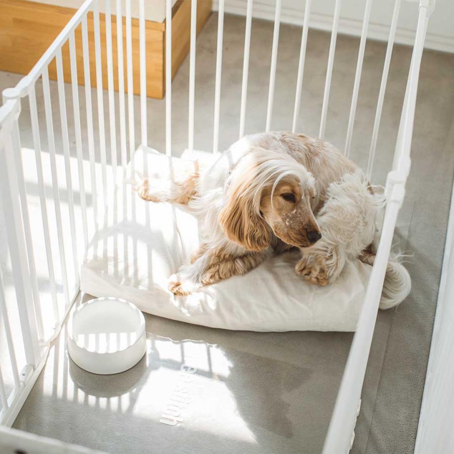 コットンリネンスクエアベッド M ペットベッド 春夏 ペットマット ペットクッション 犬 ドッグ 室内 おしゃれ シンプル 小中型犬 大型犬 洗えるの画像