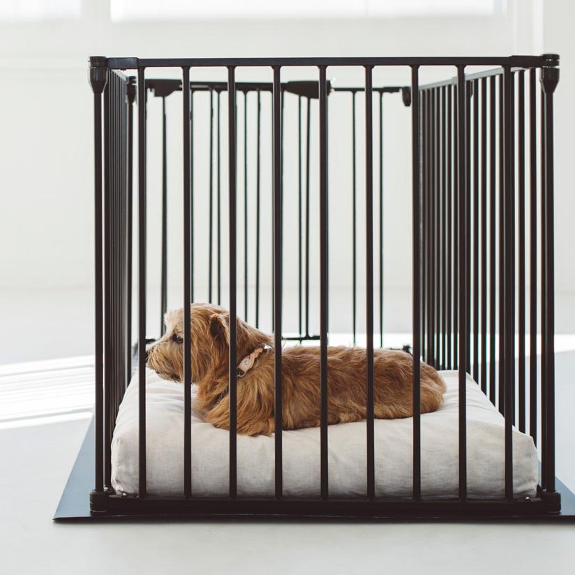 コットンリネンスクエアベッド M ペットベッド 春夏 ペットマット ペットクッション 犬 ドッグ 室内 おしゃれ シンプル 小中型犬 大型犬 洗えるの画像