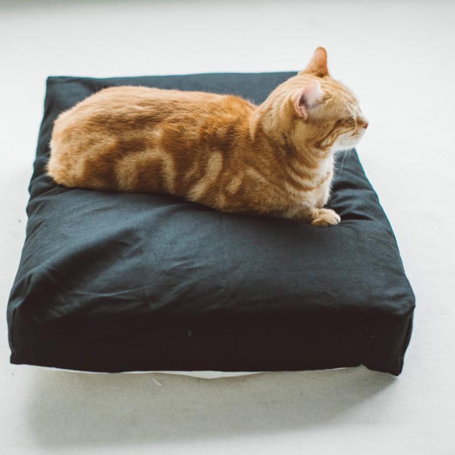 コットンリネンスクエアベッド M ペットベッド 春夏 ペットマット ペットクッション 犬 ドッグ 室内 おしゃれ シンプル 小中型犬 大型犬 洗えるの画像