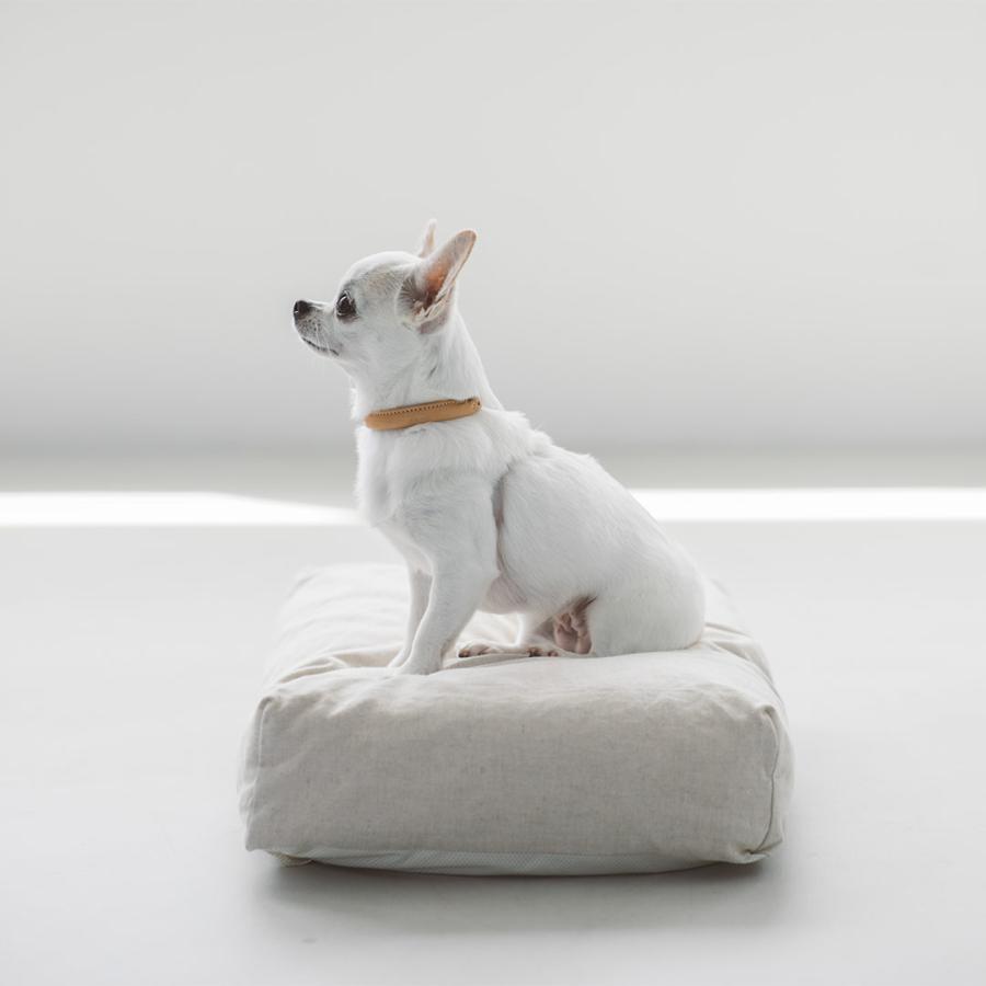 free stitch ベージュ キャンバス キャリーバッグ 小型中型犬用 楽天市場】犬 キャリーケース 犬 キャリー犬 猫 キャリーケース