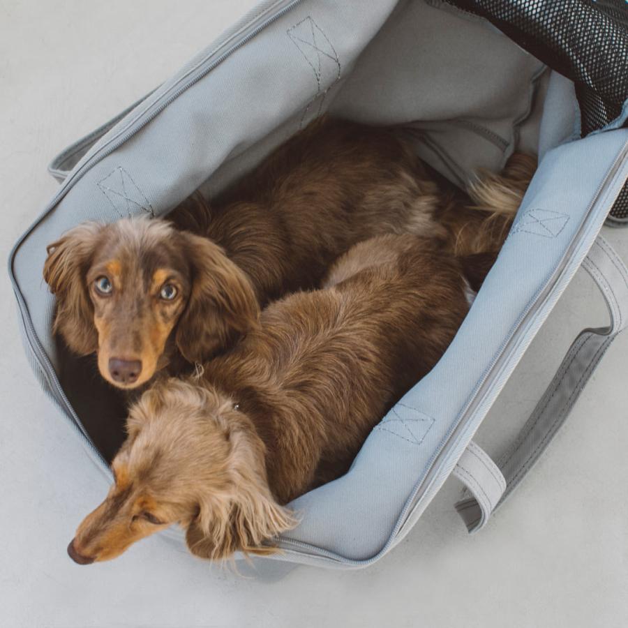 スクエアトート ハンプ ソリッド L ペットキャリー 犬 猫 キャリーバッグ ソフトキャリー 中型犬 お出掛け 旅行 お散歩 カフェ 電車 Fc L フリーステッチ ヤフー店 通販 Yahoo ショッピング