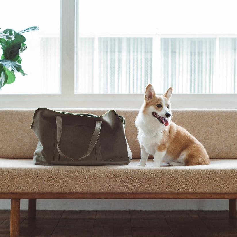 中型犬 お出かけ キャリーバッグ ペットキャリーケース ペット用品 犬