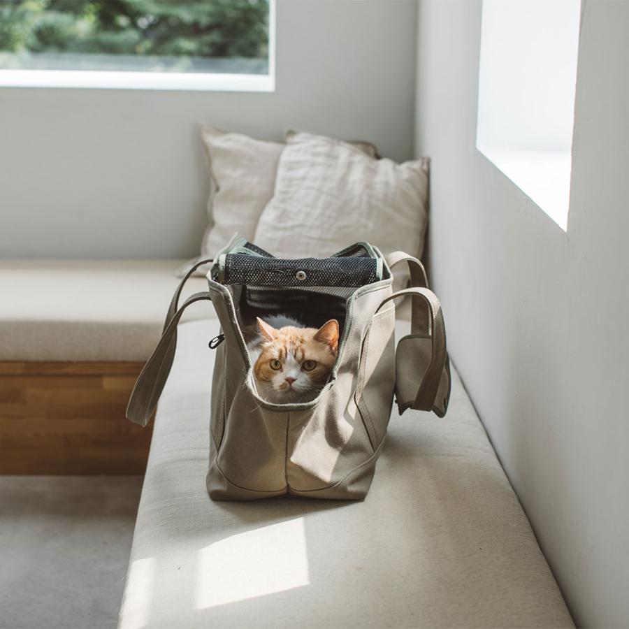 犬 キャリーバッグ キャリー かばん 鞄 バッグ ドッグ いぬ 猫