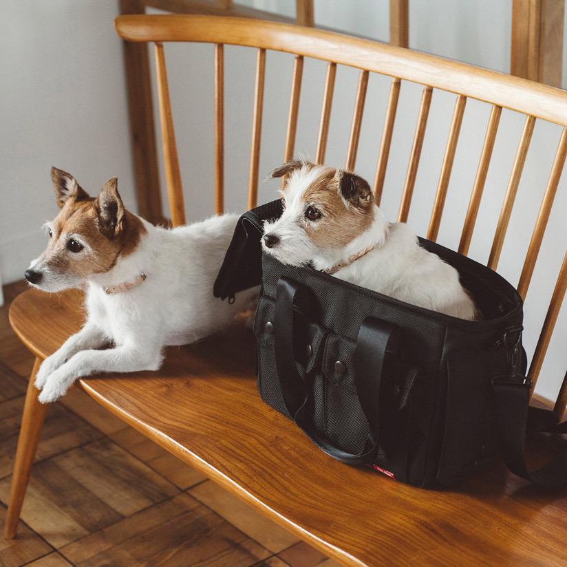 キャリーバッグ　ドッグキャリー　超小型犬　小型犬　小動物　うさぎ　フェレット　チワワ　タイニープードル　ティーカッププードル　バルコディキャリー SS｜freestitch-ystore｜12