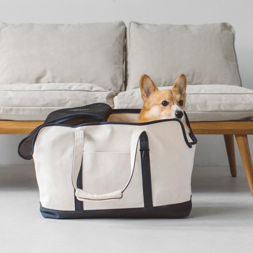 ベージュ クッション付きキャリーバッグ 中型犬用 Amazon.co.jp: FEANDREA 犬 キャリーバッグ 中型犬 ペット