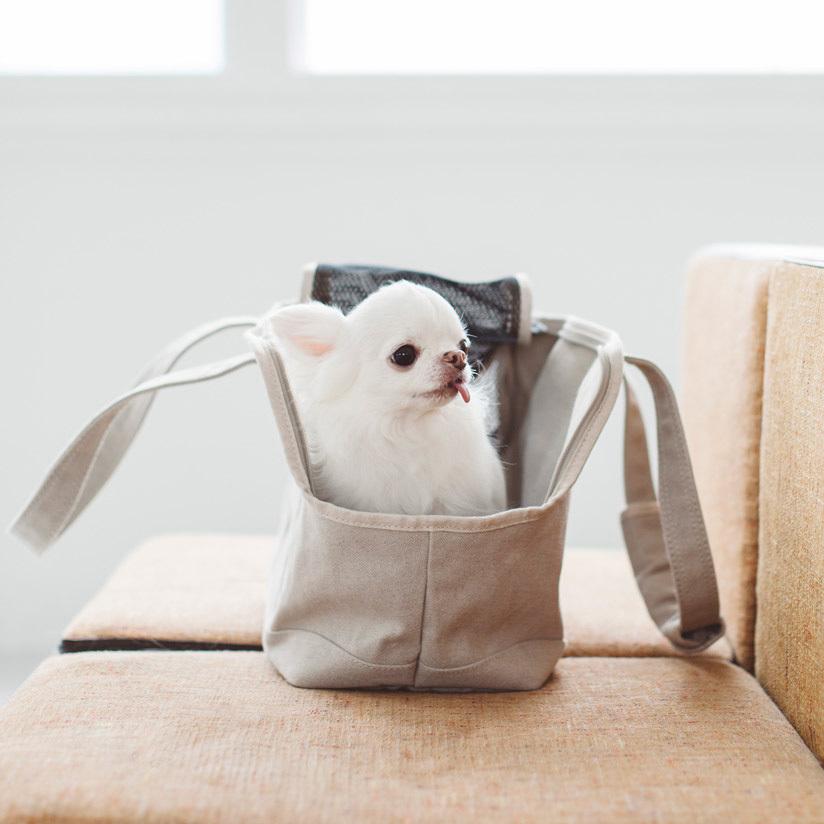 ペットキャリー ドッグキャリー 犬 猫 チワワ トイプードル ヨークシャ