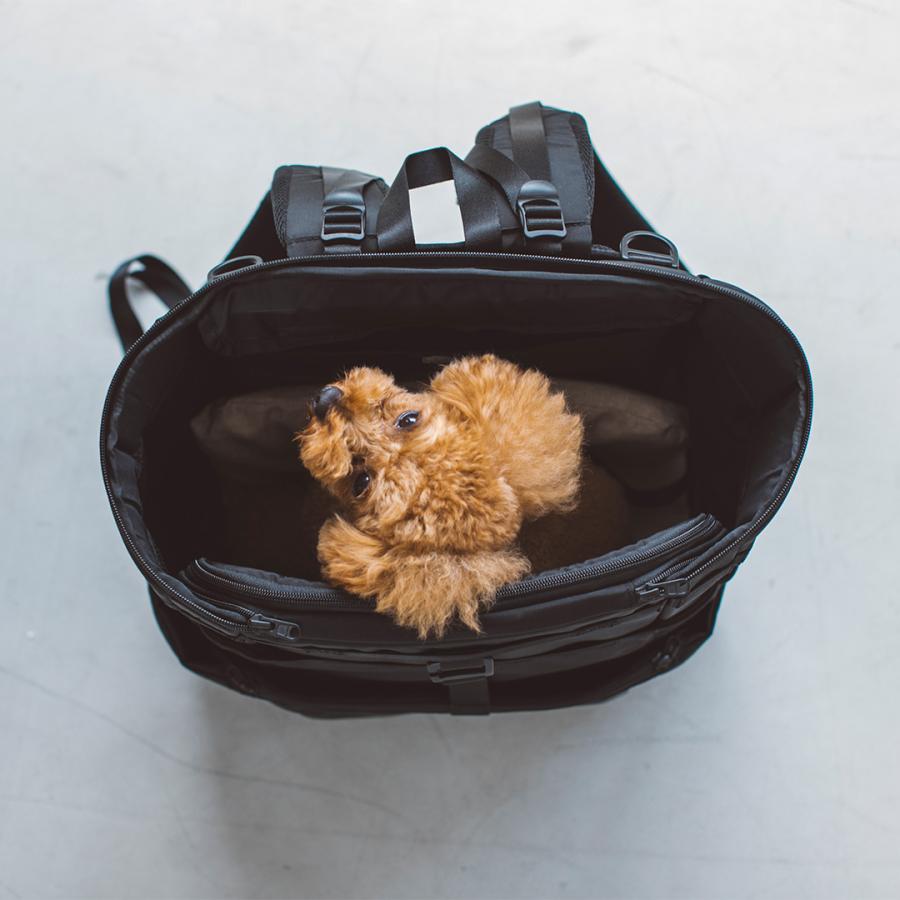 犬用リュック 前抱き アウトドア 小型犬 犬用 リュック シンプル 電車