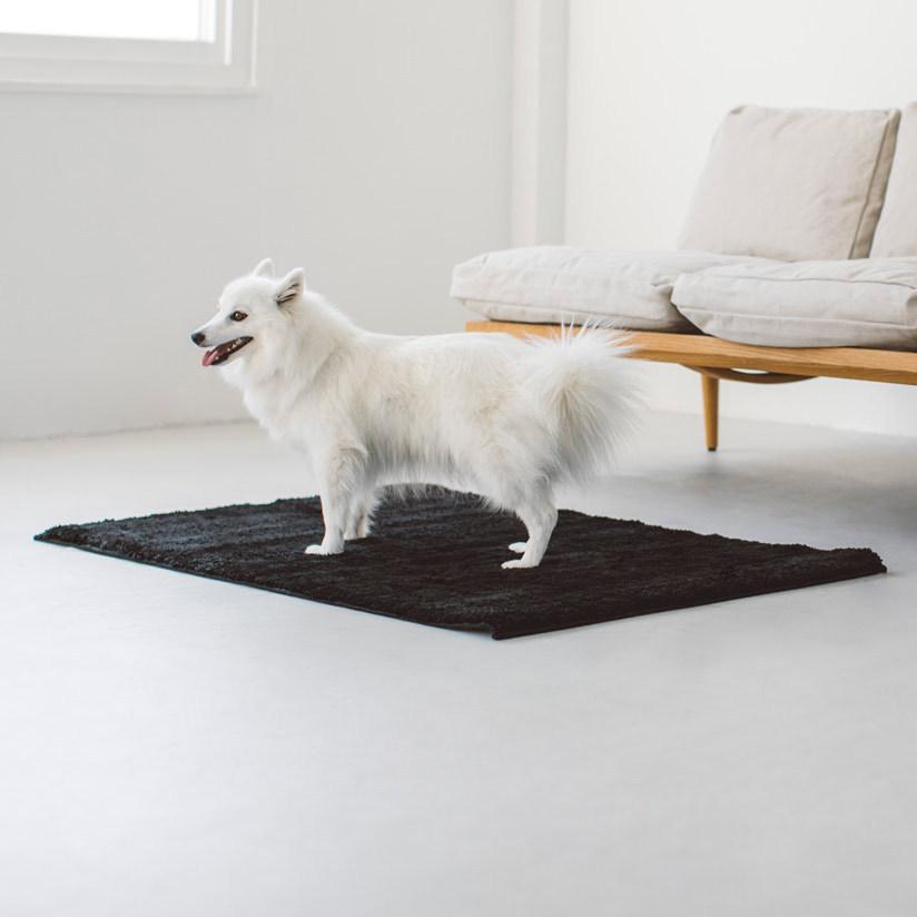 新品 free stitch ラグマット 抗菌 消臭 防ダニ ショップ フリー