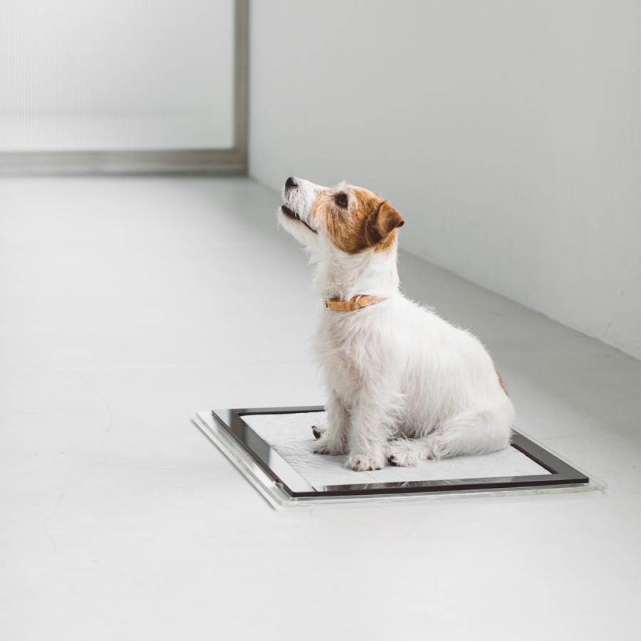 フリーステッチ アクリルトイレトレイ ブラック