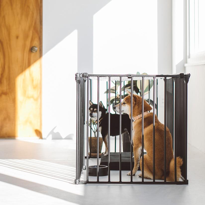 スタイリッシュドッグサークルノーマルパネル : フリーステッチ