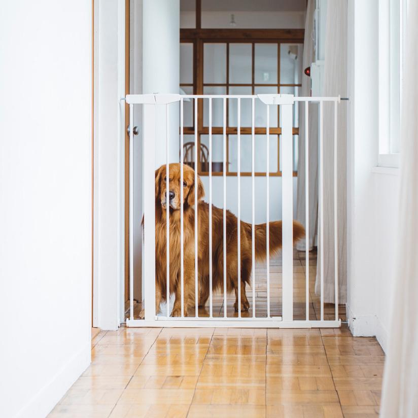 スタイリッシュドッグゲート トール　大型犬　ゲート　フェンス　玄関　階段　高い　ドッグ　犬　猫　キャット　つっぱり　おしゃれ　シンプル