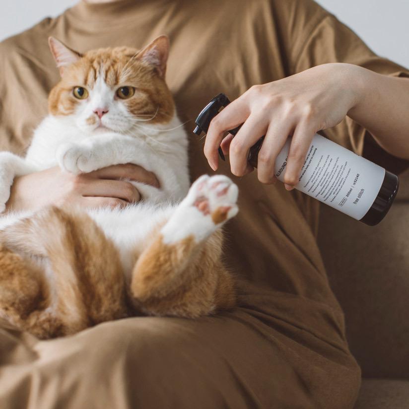 猫用 オールラウンド ケアスプレー 300ml 猫 ネコ グルーミング トリミング スプレー 保湿 おしゃれ おそうじ トイレ におい予防 Fr 300ml フリーステッチ ヤフー店 通販 Yahoo ショッピング