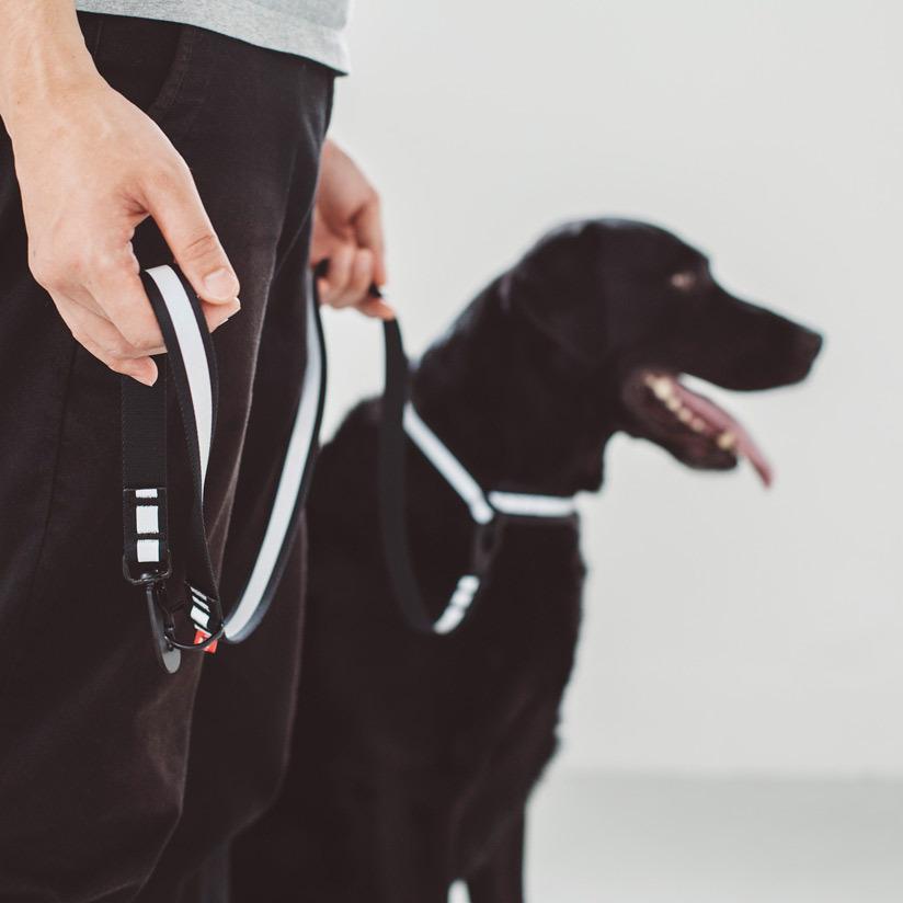 フリーステッチ　freestitch リフレクティブ リード L 犬　散歩 リフレクティブリード - ドッググッズ・猫グッズ通販 free