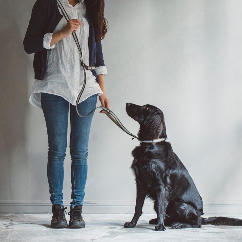 リフレクティブマルチパーパスリード　L