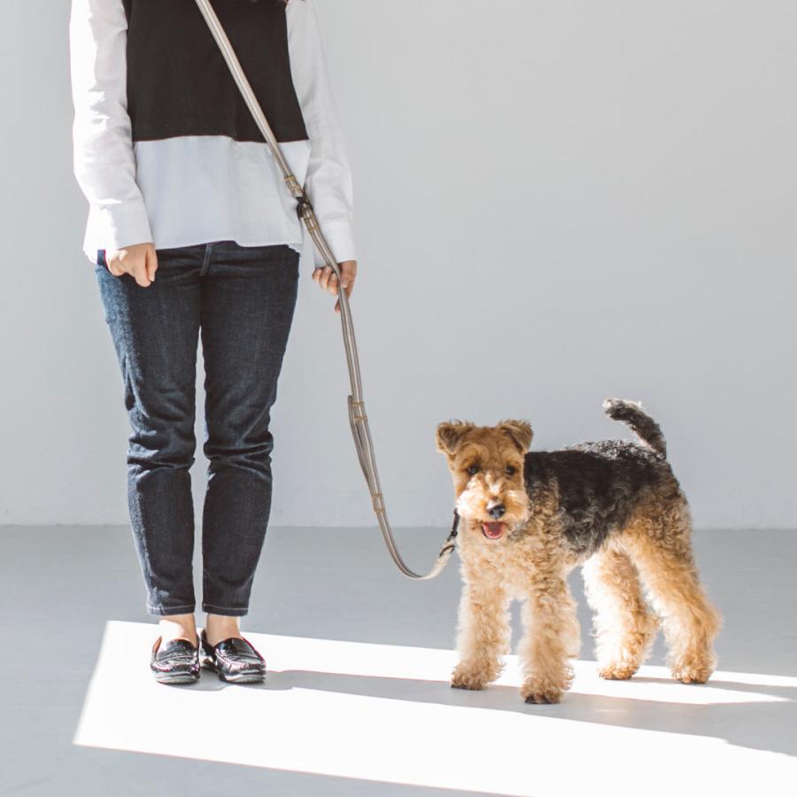 アンチオドール コンフォート ヤフー店のアンチオドール マルチパーパスリード 首輪 ハーネス リード M Fs M コンフォート ヤフー店 フリーステッチ セール Sale