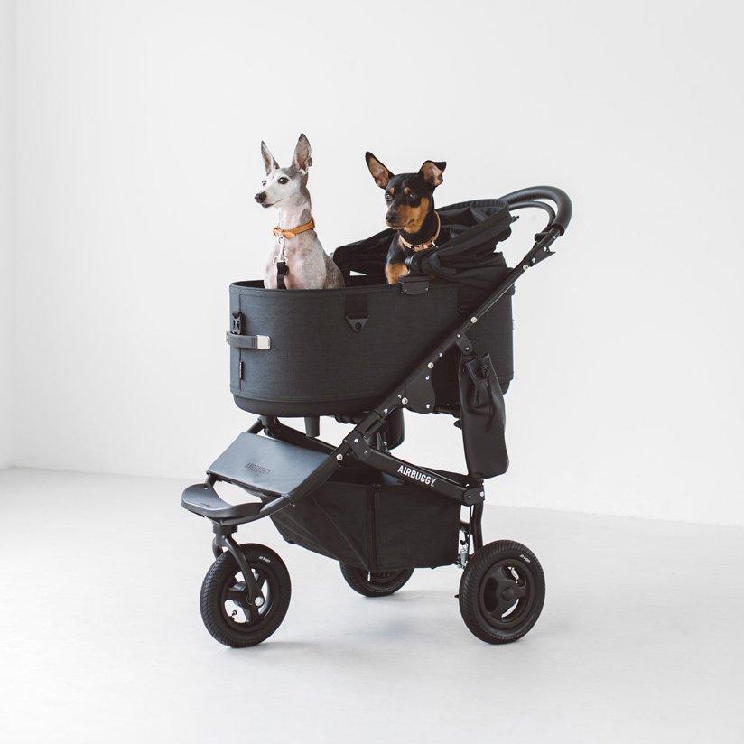 Air Buggy for Dog 黒 ドーム-