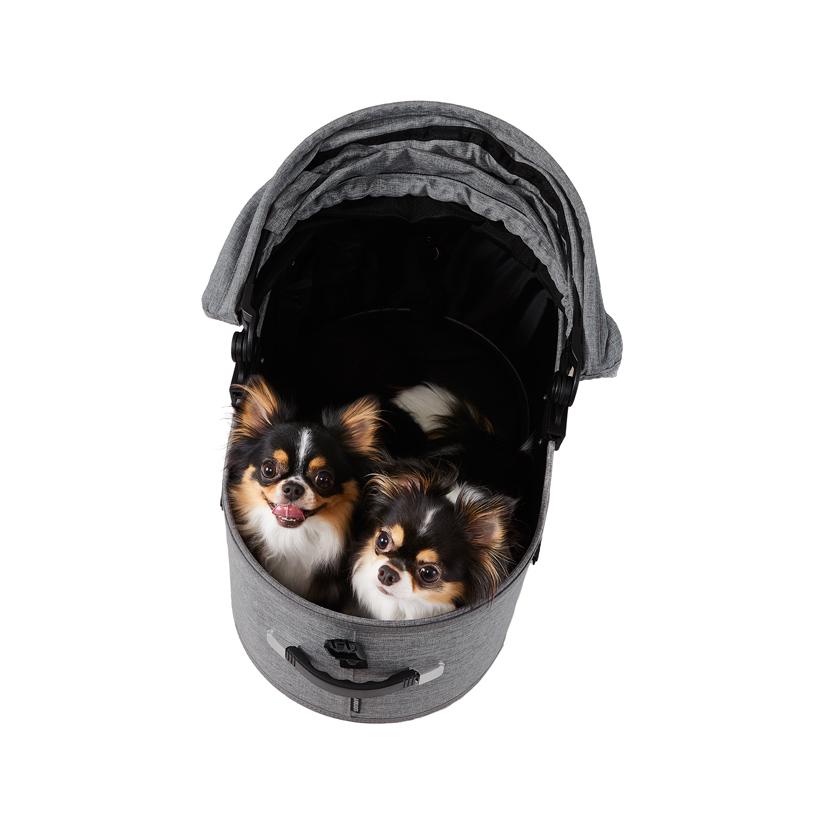 エアバギーフォードッグ ドーム3 セット レギュラー ブレーキ 犬