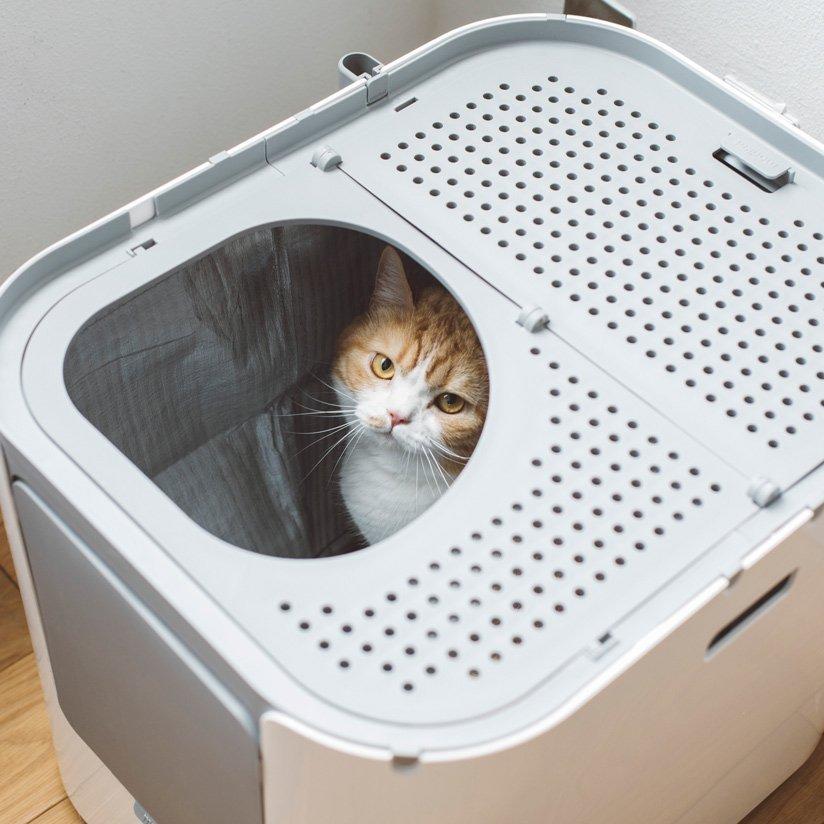 猫トイレ/modko modkat litter box ホワイト 【公式通販】