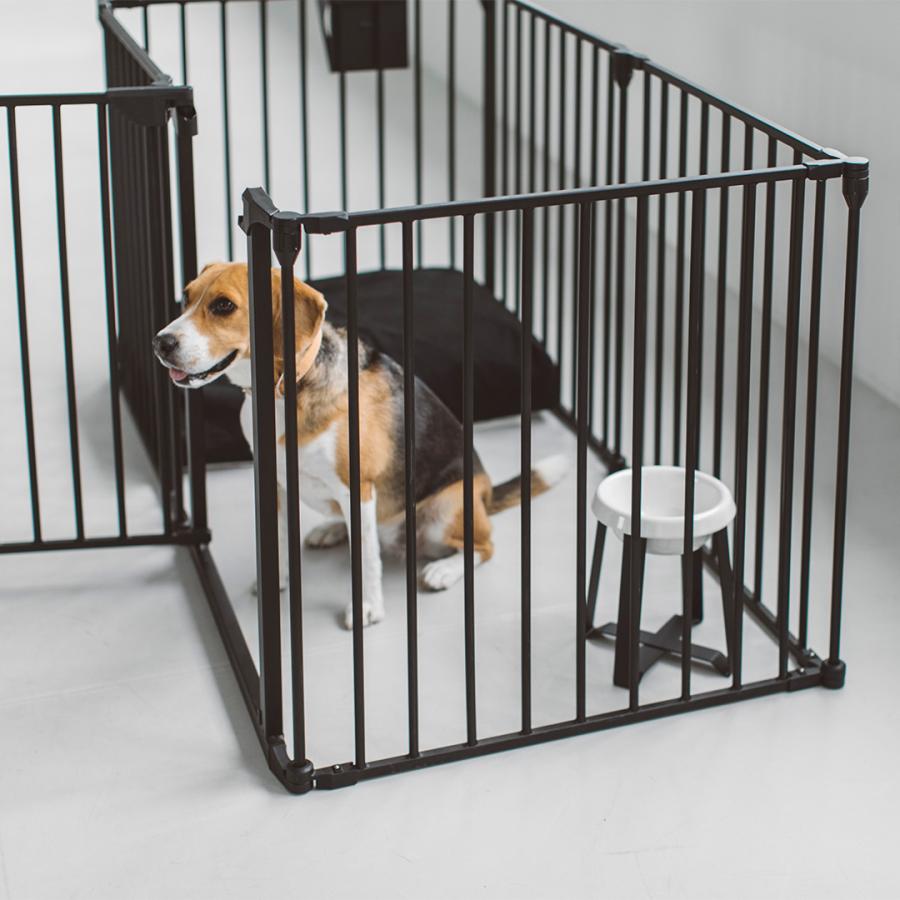 pecolo Food Stand L(Tall) 陶器深型 フードボウルスタンド 犬 pecolo Food Stand L(Tall) 陶器深型 フードボウルスタンド 犬