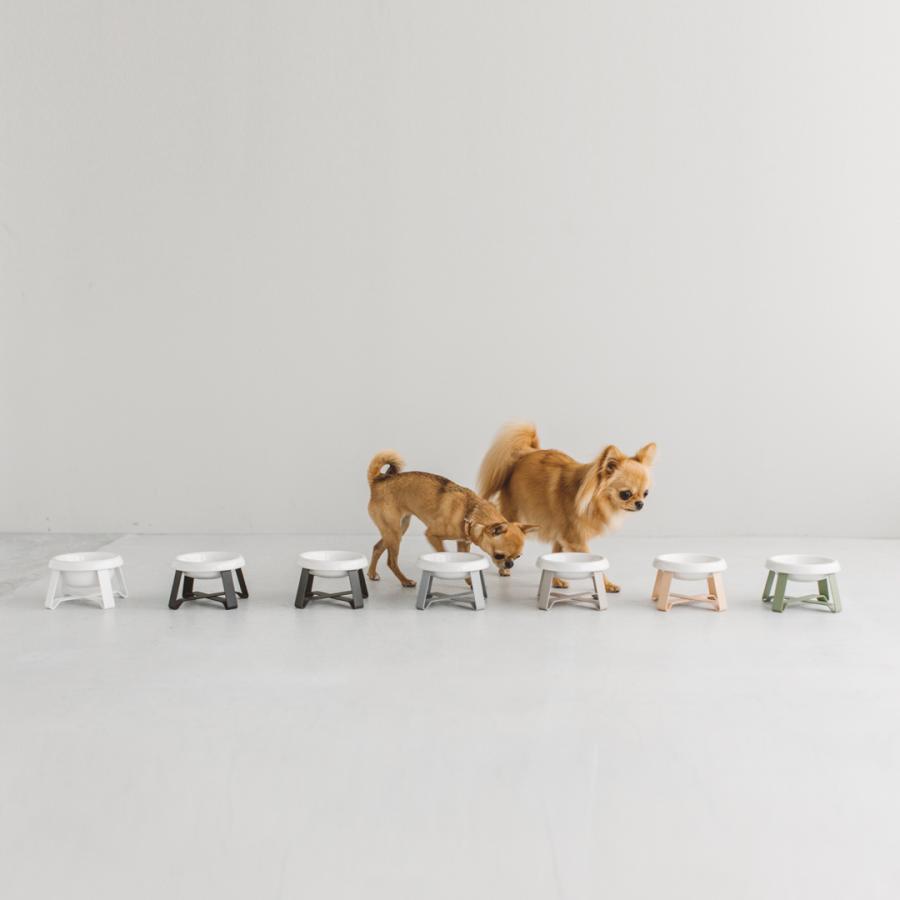 pecolo Food Stand S 陶器浅型 フードボウルスタンド 犬 フードボウル