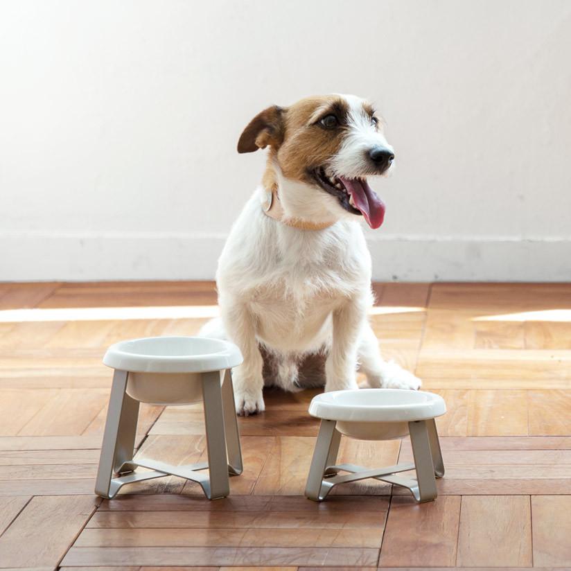 pecolo Food Stand S 陶器 フードボウルスタンド 犬 フードボウル