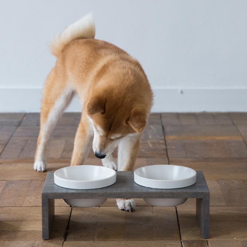 MESHIDAI GOHAN S ダブル　REPLUS リプラス　メシダイ　ゴハン　犬　ドッグ　フードボウル　foodbowl　dog　おしゃれ　陶器　木製