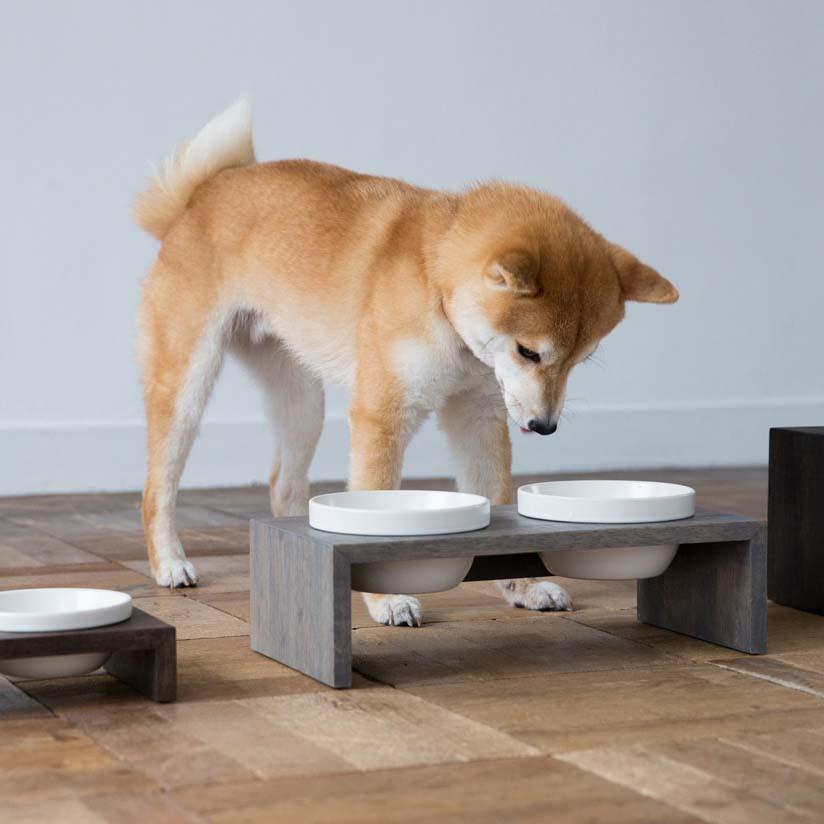 MESHIDAI GOHAN S ダブル　REPLUS リプラス　メシダイ　ゴハン　犬　ドッグ　フードボウル　foodbowl　dog　おしゃれ　陶器　木製_1