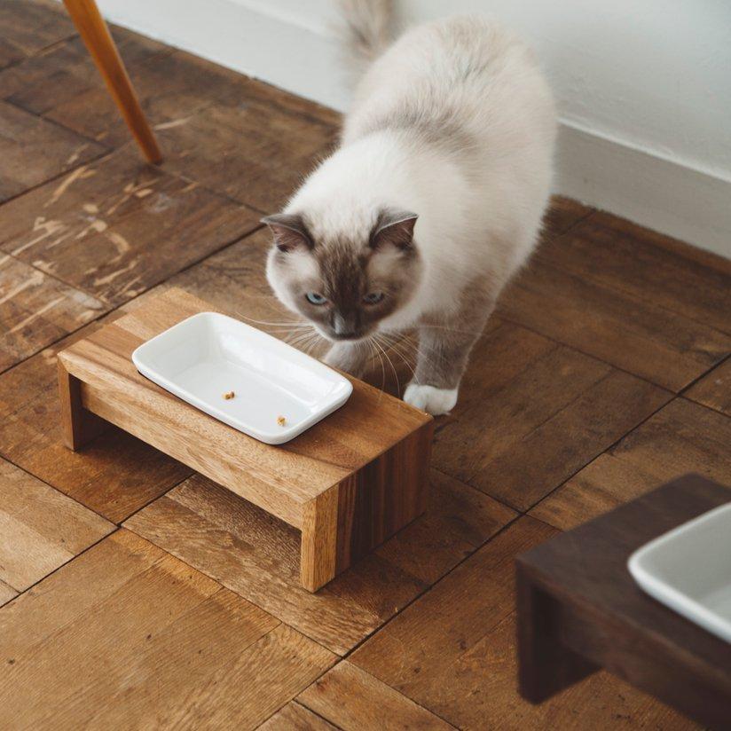 SARANEKO MUKU Height サラネコ ムク ハイ REPLUS リプラス　メシダイ　ゴハン　フードボウル　foodbowl neko 猫　ねこ　キャット_1