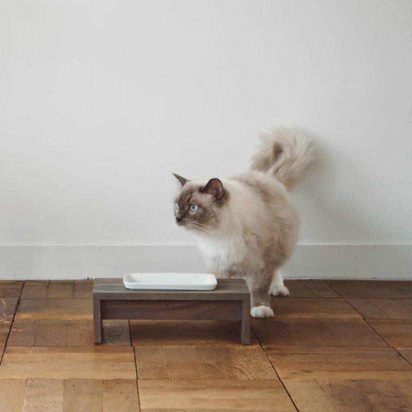 SARANEKO MUKU Height サラネコ ムク ハイ REPLUS リプラス　メシダイ　ゴハン　フードボウル　foodbowl neko 猫　ねこ　キャット_2