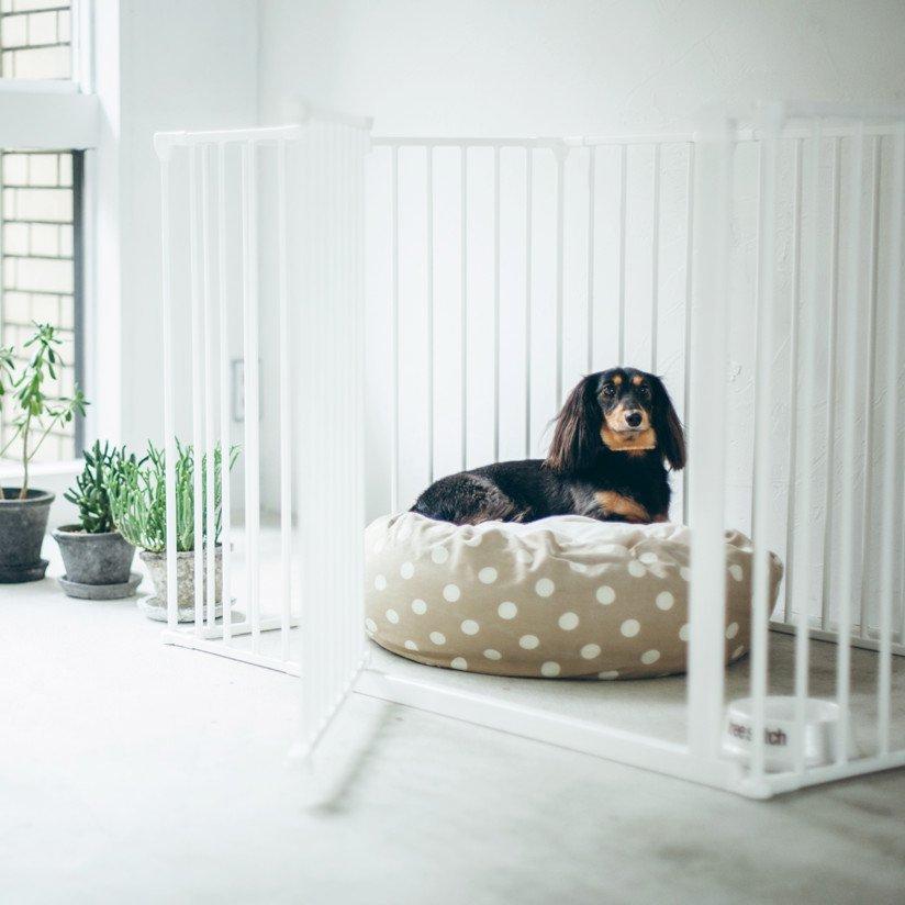 スカンジナビアンペットケージxl 6枚セット スチール製 Scandinavian Pet Design ペットケージ ペットサークル 北欧 ドッグサークル ドッグケージ おしゃれ Sp 6911 フリーステッチ ヤフー店 通販 Yahoo ショッピング