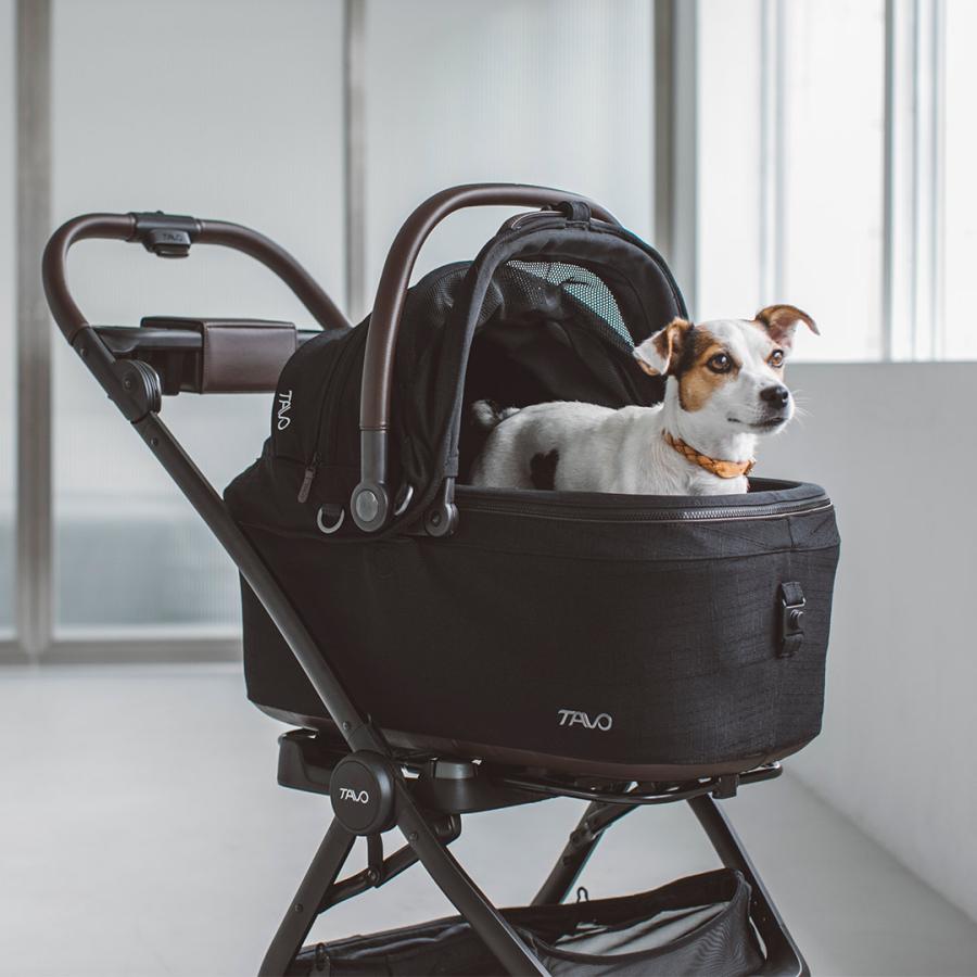 犬 カート】TAVO Maeve メイブ ＋ Roscoe ロスコー ベース 6X ドッグ