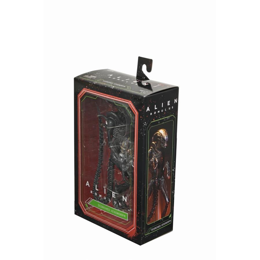 新品 ネカ エイリアン:ロムルス スコーチド ゼノモーフ 新品 ネカ エイリアン:ロムルス スコーチド ゼノモーフ