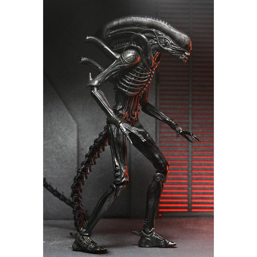 予約 ネカ エイリアン:ロムルス ゼノモーフXX121 アルティメット 予約 ネカ エイリアン:ロムルス ゼノモーフXX121 アルティメット
