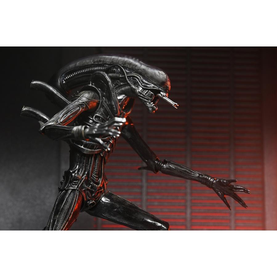 予約 ネカ エイリアン:ロムルス ゼノモーフXX121 アルティメット 予約 ネカ エイリアン:ロムルス ゼノモーフXX121 アルティメット