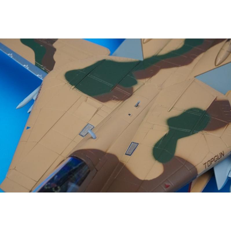 1/72 F-14A アメリカ海軍 戦闘機兵器学校（NFWS） TOPGUN 仮想敵機茶色