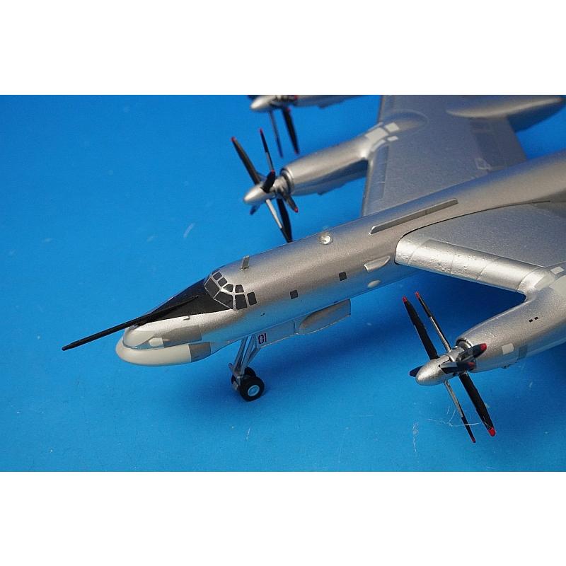 1/200 ツポレフ TU-95MS ベアH ウクライナ空軍 第106重爆撃機師団