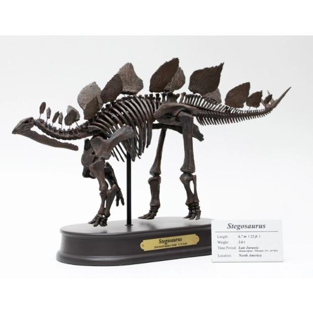フェバリット 70104 FDS604/BR ステゴサウルス スケルトン