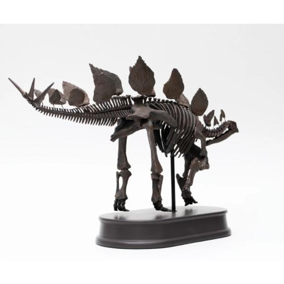 フェバリット 70104 FDS604/BR ステゴサウルス スケルトン フェバリット