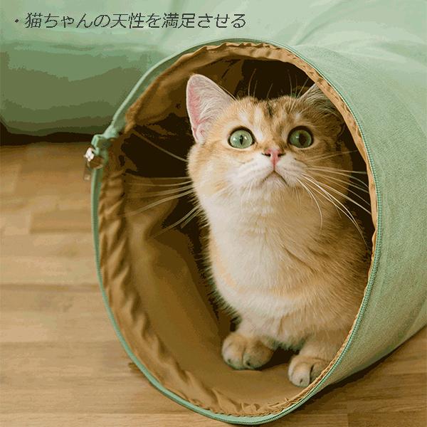 トンネル 猫トンネル キャットトンネル キャット ペット オシャレ 折りたたみ式 Tgnfrlwn2v Anzanatitlan Org