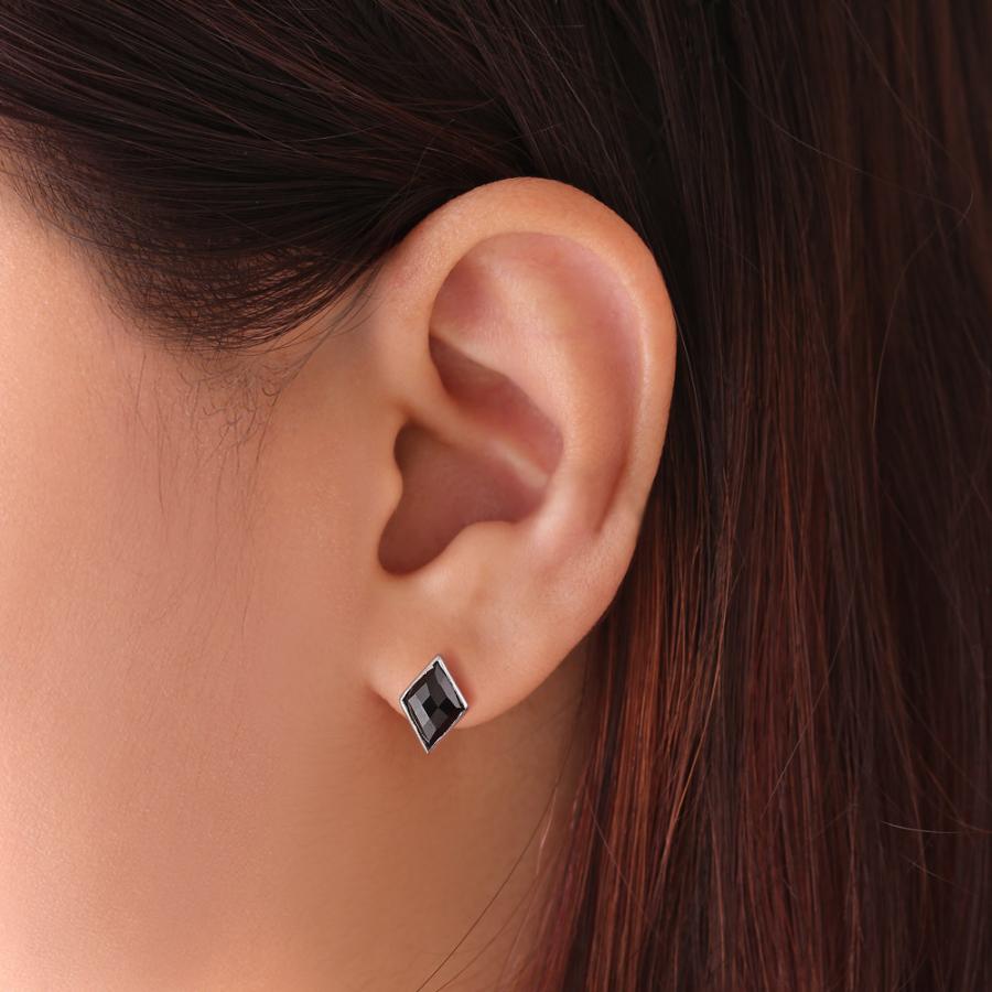 FREE STYLE スクエアカットオニキス シルバーピアス 両耳セット シルバー オニキス レディースピアス プレゼント FSE632-ON フリースタイル【送料無料】 | Freestyle | 01