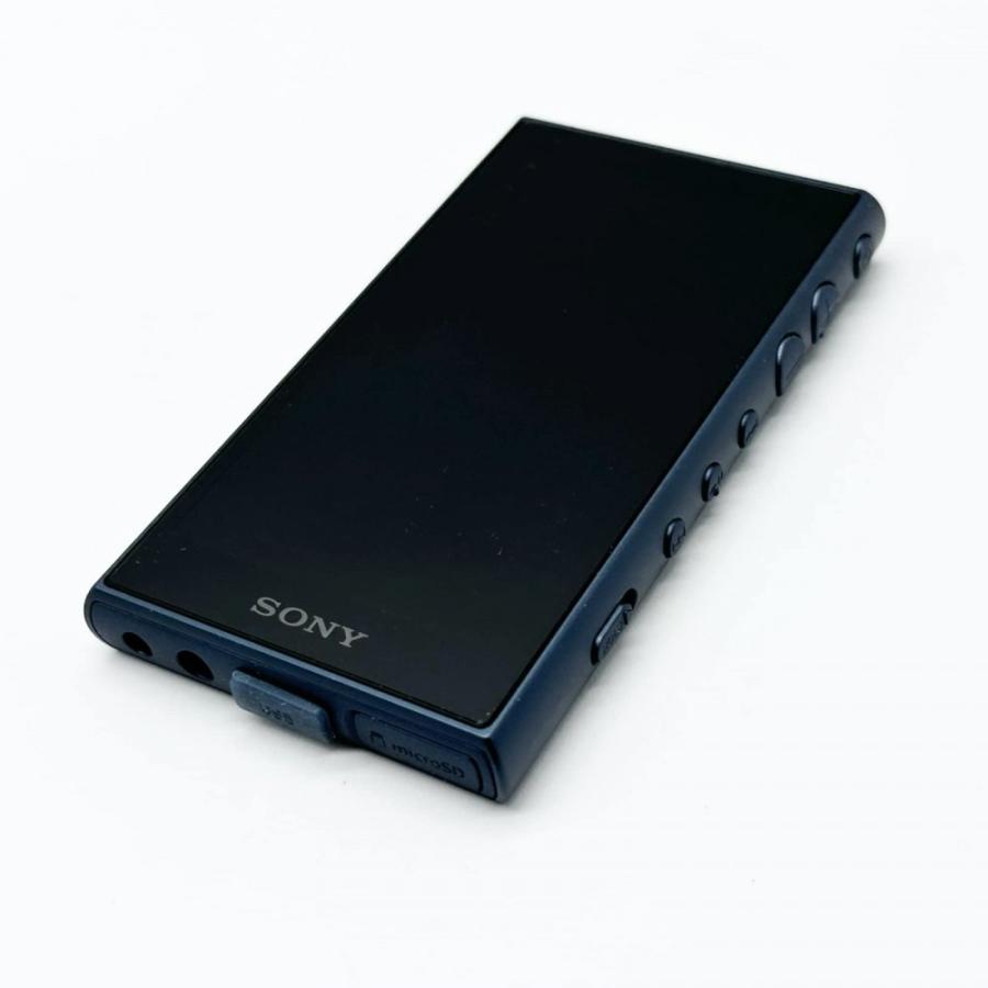 ソニー ウォークマン 64GB Aシリーズ NW-A107 ハイレゾ対応 MP3