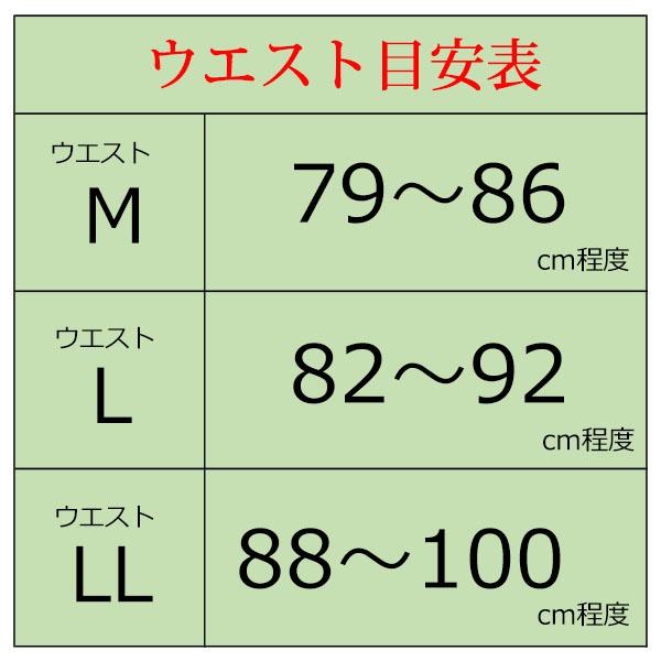 ゴルフウェア メンズ パンツ ゴルフパンツ 冬 秋 裏起毛 秋冬 ストレッチ 裾上げ済 チノパン 暖パン 大きいサイズ 3L 暖パン 防寒パンツ コーディネート｜freestylewear｜24