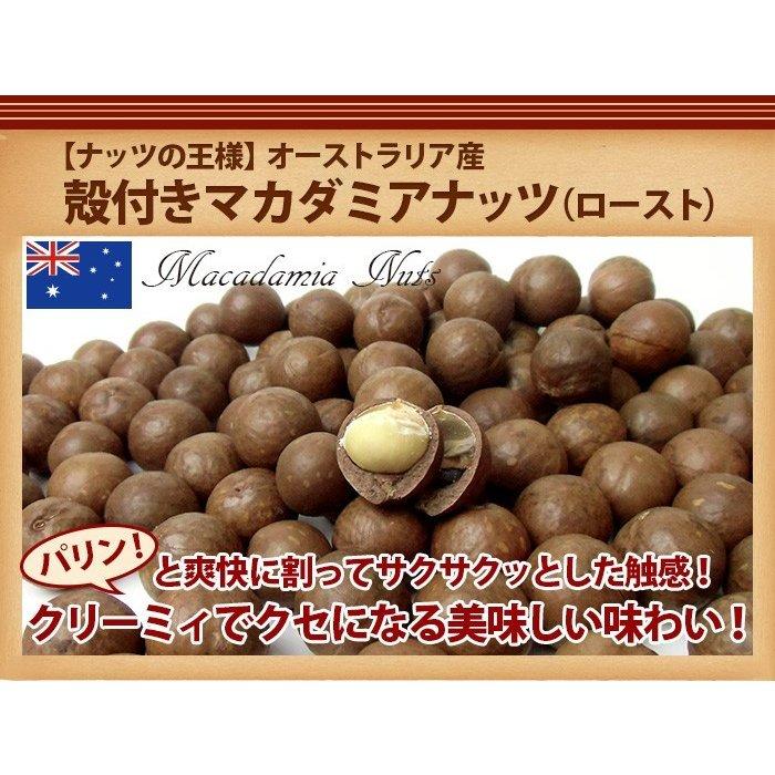 業務用 殻付きマカダミアナッツ (ロースト) 10kg (10kg箱)|freeve|04
