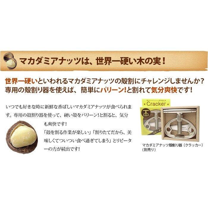 業務用 殻付きマカダミアナッツ (ロースト) 10kg (10kg箱)|freeve|07