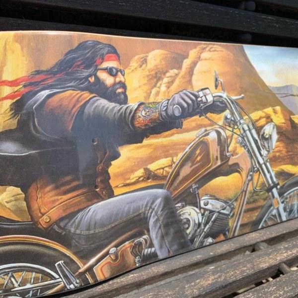 【セール30%OFF】LOSER MACHINE/ルーザーマシーン DAVID MANN GHOST RIDER-DECK/スケートボードデッキ |  | 04