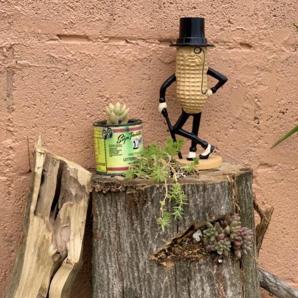 「Mr.Peanuts」 Coin Bank (レプリカ) |  | 07