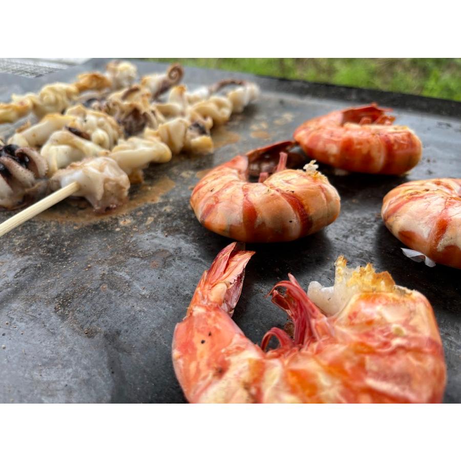 コールマン パワーハウス LP ツーバーナーストーブ2 対応 グリルプレート 板厚3.2mm (256) |  | 06