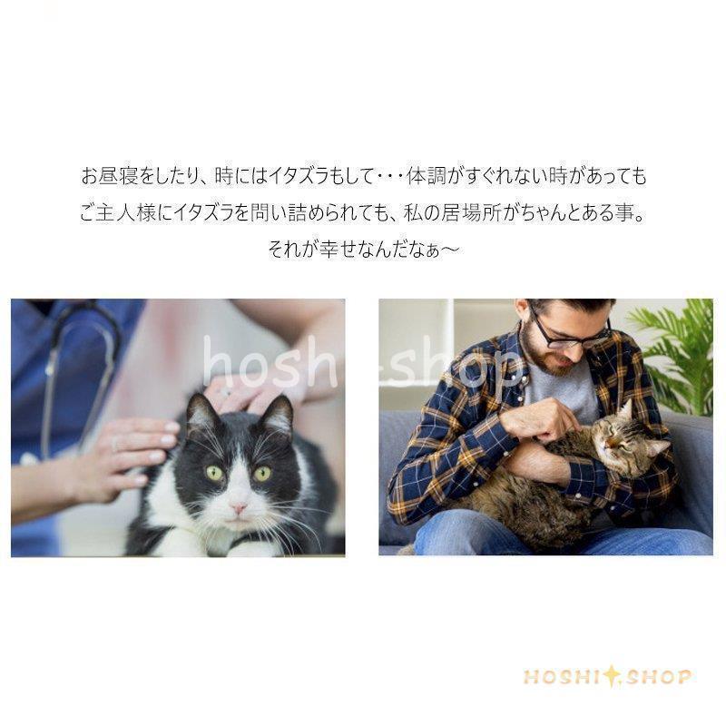 ペット用 お家 DH-2 サイズ ドッグハウス 家 ハウス ベッド 部屋 ペット部屋 小屋 ゲージ お洒落 犬 猫 いぬ ねこ 犬小屋 お洒落 ペット用 お家 DH サイズ ドッグハウス ハウス ベッド 部屋 ペット部屋 小屋 ゲージ いぬ ねこ